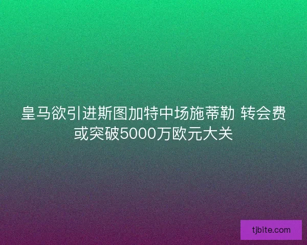 皇马欲引进斯图加特中场施蒂勒 转会费或突破5000万欧元大关